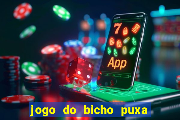 jogo do bicho puxa de dona maria